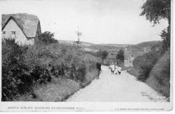 View of Stinchcombe Hill from Village